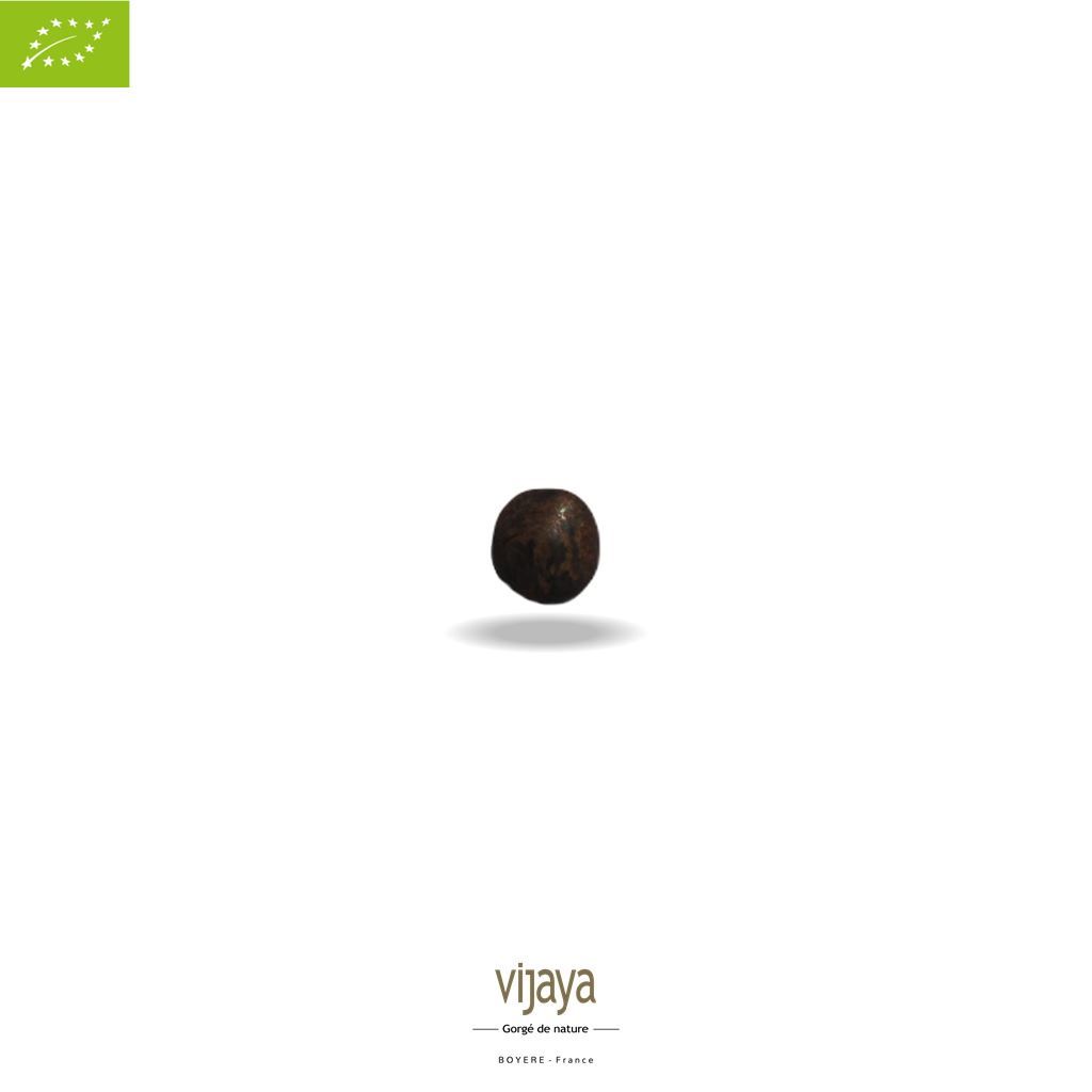 Vijaya